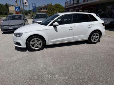 Audi A3 A3 III  Sportback Sportback 30 1.6 tdi Business 11 Bianco usata Gubbio
