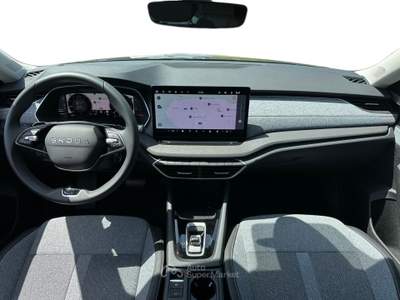 Skoda Octavia 2.0 TDI 110KW STYLE DSG Grigio usata Pistoia