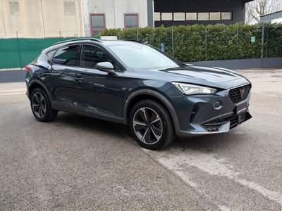 Cupra Formentor 2.0 TDI 4Drive DSG Blu/Azzurro usata Alonte