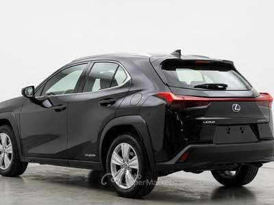 Lexus UX Hybrid Business Nero usata Rovato