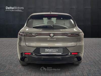 Alfa Romeo Tonale  -  1.6 sprint 130cv tct6 Grigio usata Montecosaro