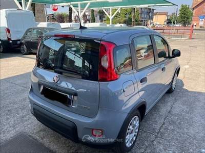Fiat Panda Panda 1.0 FireFly S&S Hybrid Grigio usata Castiglione delle Stiviere