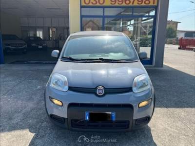 Fiat Panda Panda 1.0 FireFly S&S Hybrid Grigio usata Castiglione delle Stiviere