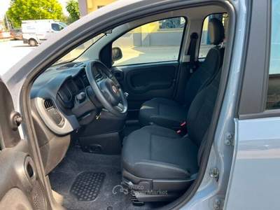 Fiat Panda Panda 1.0 FireFly S&S Hybrid Grigio usata Castiglione delle Stiviere
