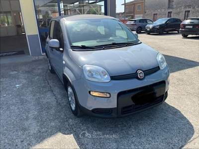Fiat Panda Panda 1.0 FireFly S&S Hybrid Grigio usata Castiglione delle Stiviere