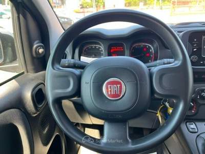Fiat Panda Panda 1.0 FireFly S&S Hybrid Grigio usata Castiglione delle Stiviere