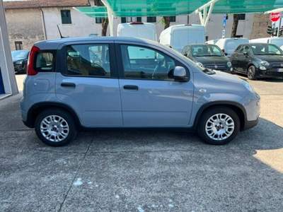 Fiat Panda Panda 1.0 FireFly S&S Hybrid Grigio usata Castiglione delle Stiviere