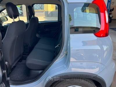 Fiat Panda Panda 1.0 FireFly S&S Hybrid Grigio usata Castiglione delle Stiviere