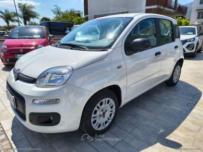 Fiat Panda Panda 1.2 EasyPower Easy Bianco usata Somma Vesuviana