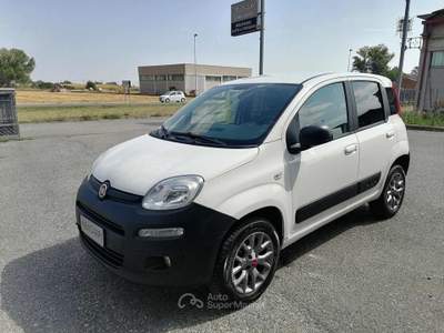 Fiat Panda VAN 0.9 POP 85 CV 4x4 2 POSTI N1 AUTOCARRO+IVA Bianco usata Martignana di Po