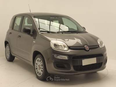 Fiat 500 PANDA 1.2 GPL 69 CV usata Avellino