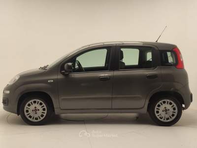 Fiat 500 PANDA 1.2 GPL 69 CV usata Avellino