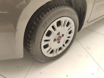 Fiat 500 PANDA 1.2 GPL 69 CV usata Avellino