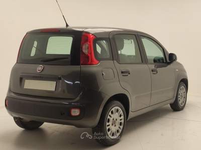 Fiat 500 PANDA 1.2 GPL 69 CV usata Avellino