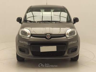 Fiat 500 PANDA 1.2 GPL 69 CV usata Avellino