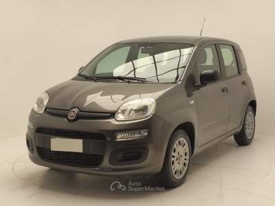 Fiat 500 PANDA 1.2 GPL 69 CV usata Avellino