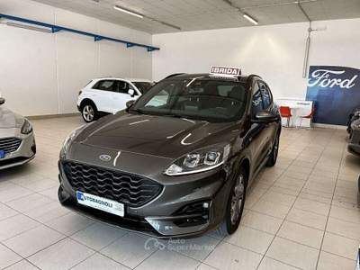 Ford Kuga ST-LINE 2.0 EcoBlue Hybrid 150 CV Grigio usata Bagnaria Arsa