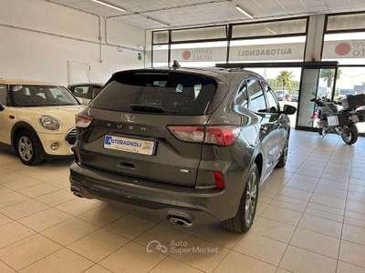 Ford Kuga ST-LINE 2.0 EcoBlue Hybrid 150 CV Grigio usata Bagnaria Arsa