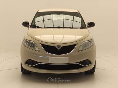 Lancia Ypsilon Ypsilon 1.3 MJT 16V 95 CV 5 porte S&S Platinum usata Avellino