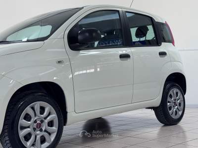 Fiat Panda METANO - Easy -2018 Bianco usata Pollenza