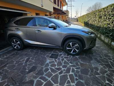Lexus NX Hybrid 4WD Luxury Argento usata Creazzo