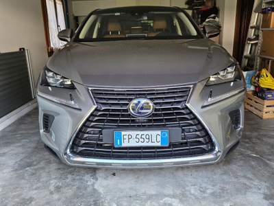 Lexus NX Hybrid 4WD Luxury Argento usata Creazzo