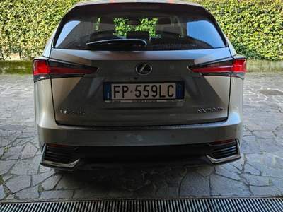 Lexus NX Hybrid 4WD Luxury Argento usata Creazzo