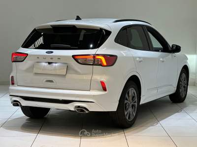 Ford Kuga 2.0 EcoBlue 120 CV aut. 2WD ST-Line Bianco usata Cassano Magnago