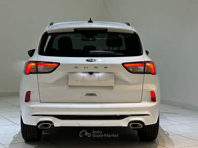 Ford Kuga 2.0 EcoBlue 120 CV aut. 2WD ST-Line Bianco usata Cassano Magnago