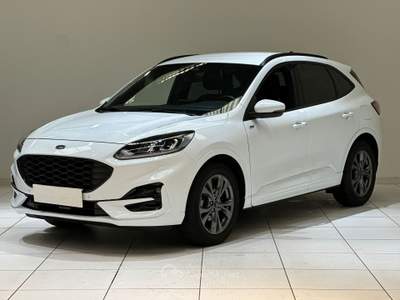 Ford Kuga 2.0 EcoBlue 120 CV aut. 2WD ST-Line Bianco usata Cassano Magnago