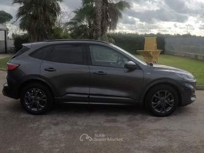 Ford Kuga EcoBlue 120 CV aut. 2WD ST-Line Grigio usata Botrugno