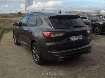 Ford Kuga EcoBlue 120 CV aut. 2WD ST-Line Grigio usata Botrugno