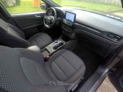 Ford Kuga EcoBlue 120 CV aut. 2WD ST-Line Grigio usata Botrugno