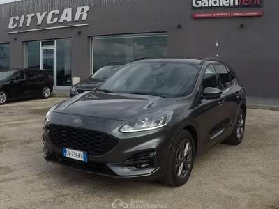 Ford Kuga EcoBlue 120 CV aut. 2WD ST-Line Grigio usata Botrugno