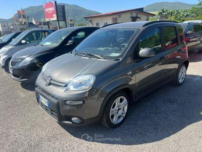 Fiat Panda 3532076833 INFO PINO Grigio usata Mercogliano