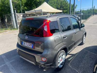 Fiat Panda 3532076833 INFO PINO Grigio usata Mercogliano