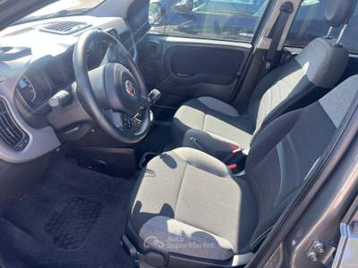 Fiat Panda 3532076833 INFO PINO Grigio usata Mercogliano