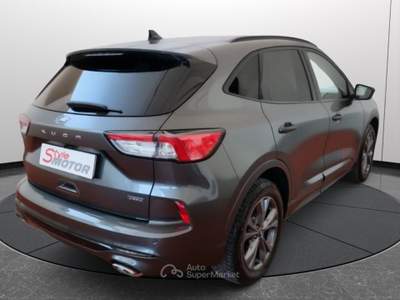 Ford Kuga 2.5 Full Hybrid 190 CV CVT 2WD ST-Line Grigio usata Fano