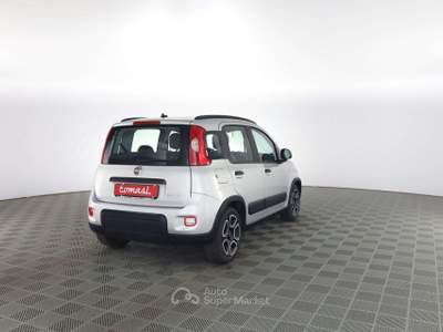 Fiat Panda Panda 1.0 FireFly Hybrid City Life Grigio usata Verona