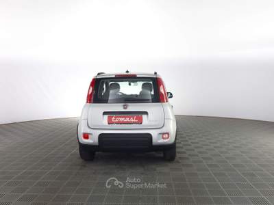 Fiat Panda Panda 1.0 FireFly Hybrid City Life Grigio usata Verona