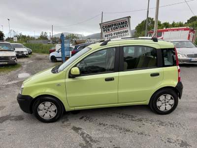 Fiat Panda Active Giallo usata Carrara