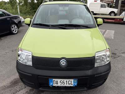Fiat Panda Active Giallo usata Carrara