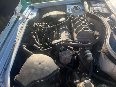 Renault Express 1.9 diesel 2p. Pick-up Bianco usata Carrara