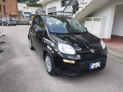 Fiat Panda 1.0 FireFly S&S Hybrid Nero usata Itri