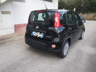 Fiat Panda 1.0 FireFly S&S Hybrid Nero usata Itri