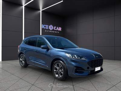 Ford Kuga Kuga 2.0 ecoblue 120 cv aut. 2wd st-line Blu/Azzurro usata Roma