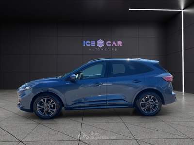 Ford Kuga Kuga 2.0 ecoblue 120 cv aut. 2wd st-line Blu/Azzurro usata Roma