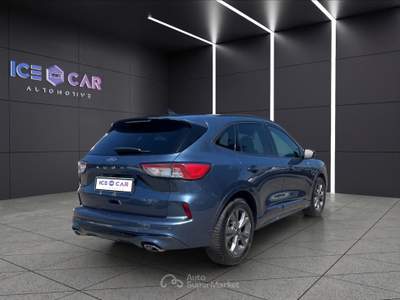 Ford Kuga Kuga 2.0 ecoblue 120 cv aut. 2wd st-line Blu/Azzurro usata Roma