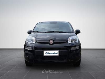 Fiat Pandina  1.0 65cv hybrid icon Nero usata Firenze