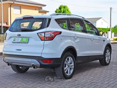 Ford Kuga 1.5 TDCI 120 CV S&S 2WD Titanium Bianco usata Saonara
